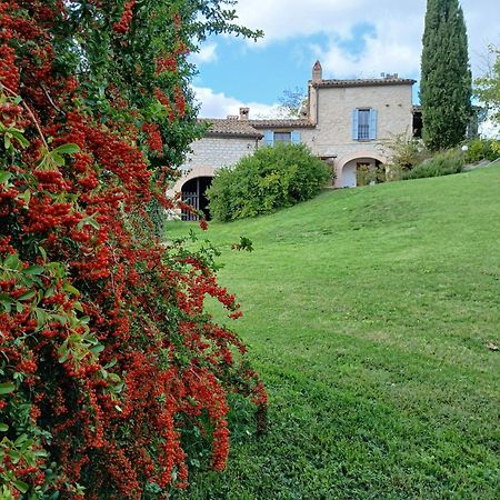 Agriturismo Del Frontino - Lo Studio Акуаланя Екстериор снимка