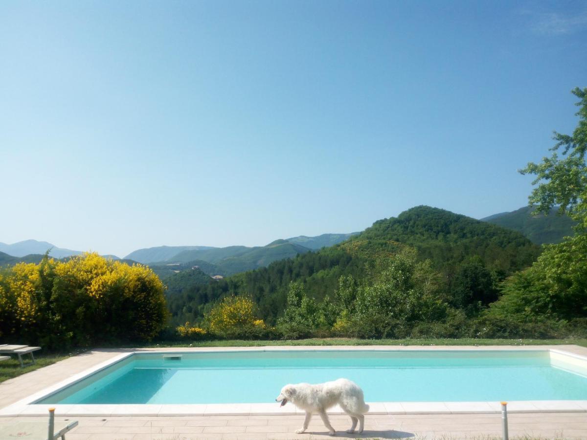 Agriturismo Del Frontino - Lo Studio Акуаланя Екстериор снимка