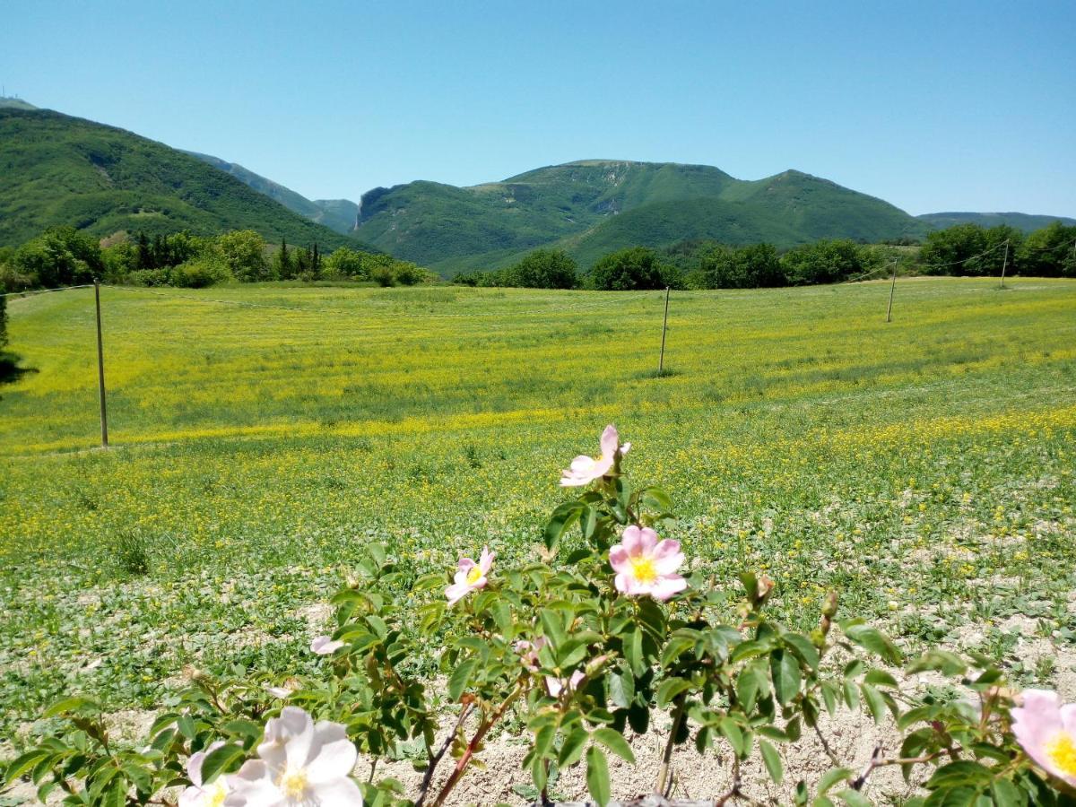 Agriturismo Del Frontino - Lo Studio Акуаланя Екстериор снимка