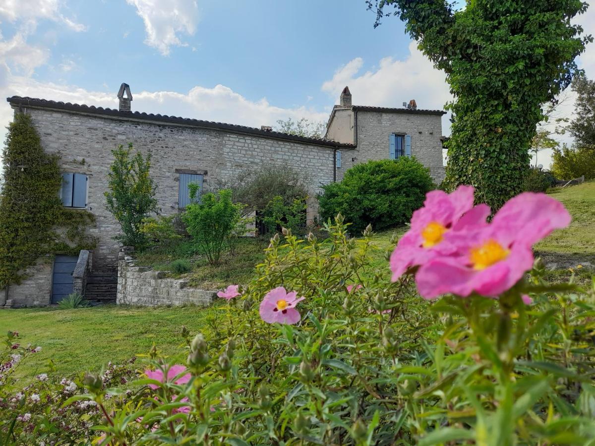 Agriturismo Del Frontino - Lo Studio Акуаланя Екстериор снимка
