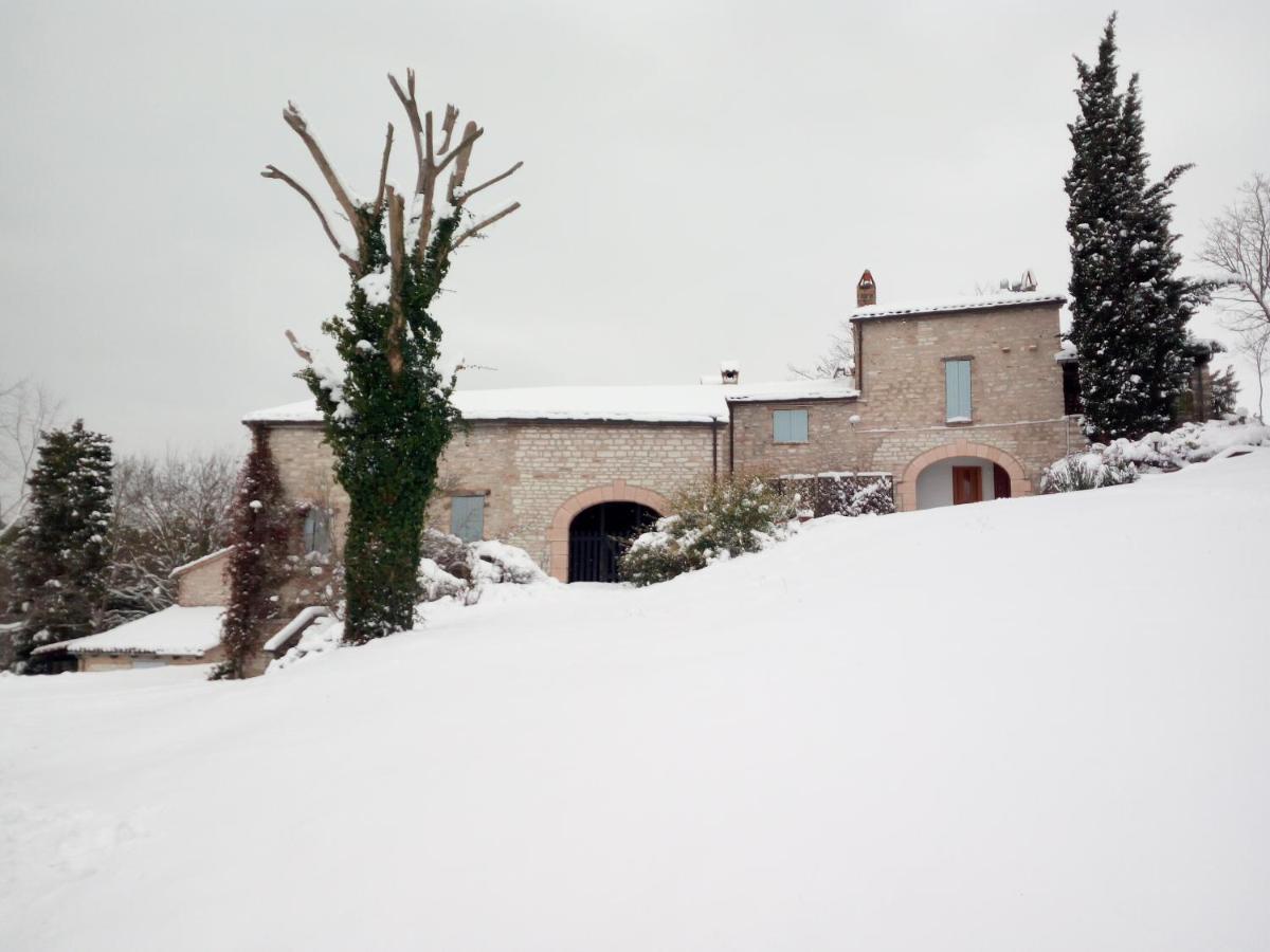 Agriturismo Del Frontino - Lo Studio Акуаланя Екстериор снимка