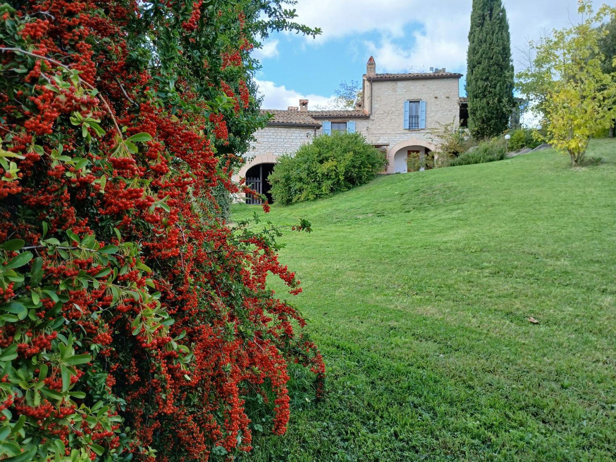 Agriturismo Del Frontino - Lo Studio Акуаланя Екстериор снимка